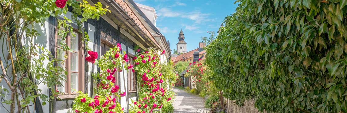 En gränd i Visby